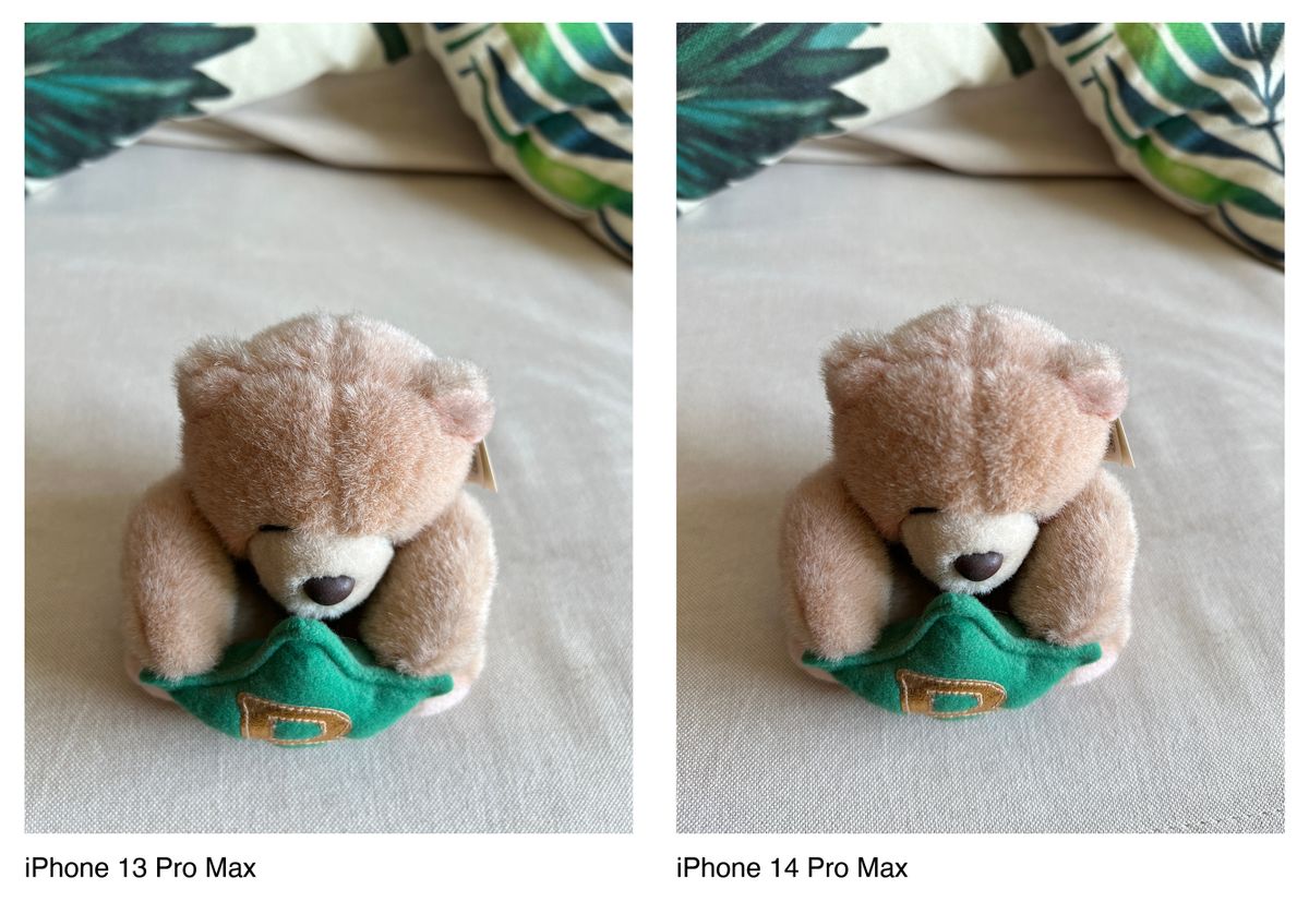 A photo captured on the iPhone 14 Pro Max and 13 Pro Max