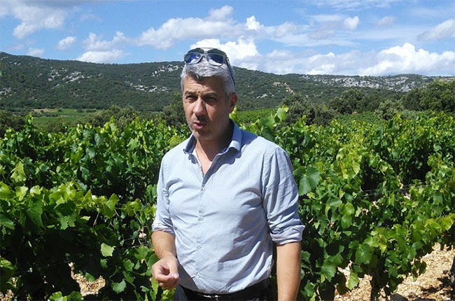 castelbarry co-operative, languedoc
