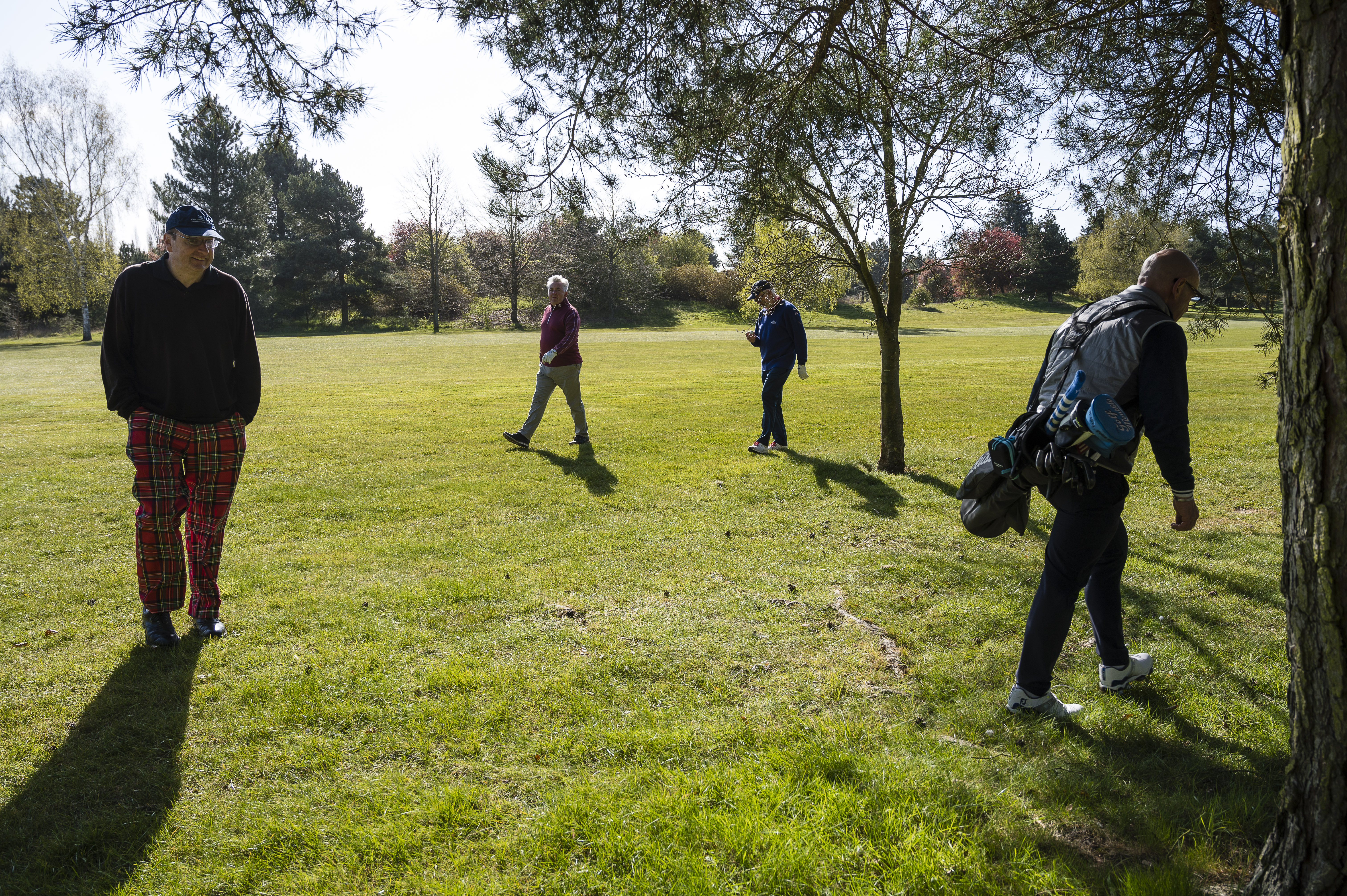 Searching for a golf ball