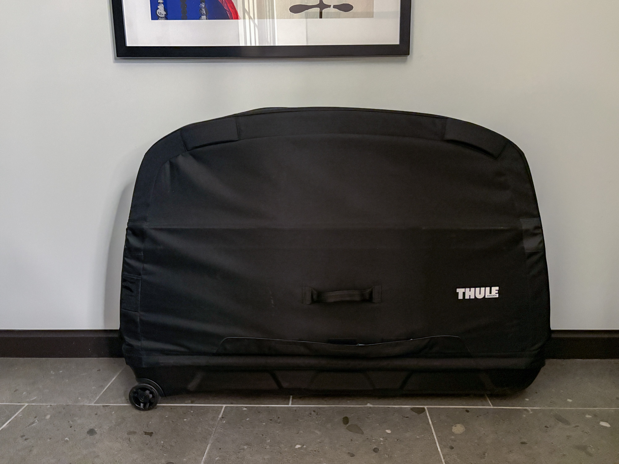 Thule Roundtrip Travel Case