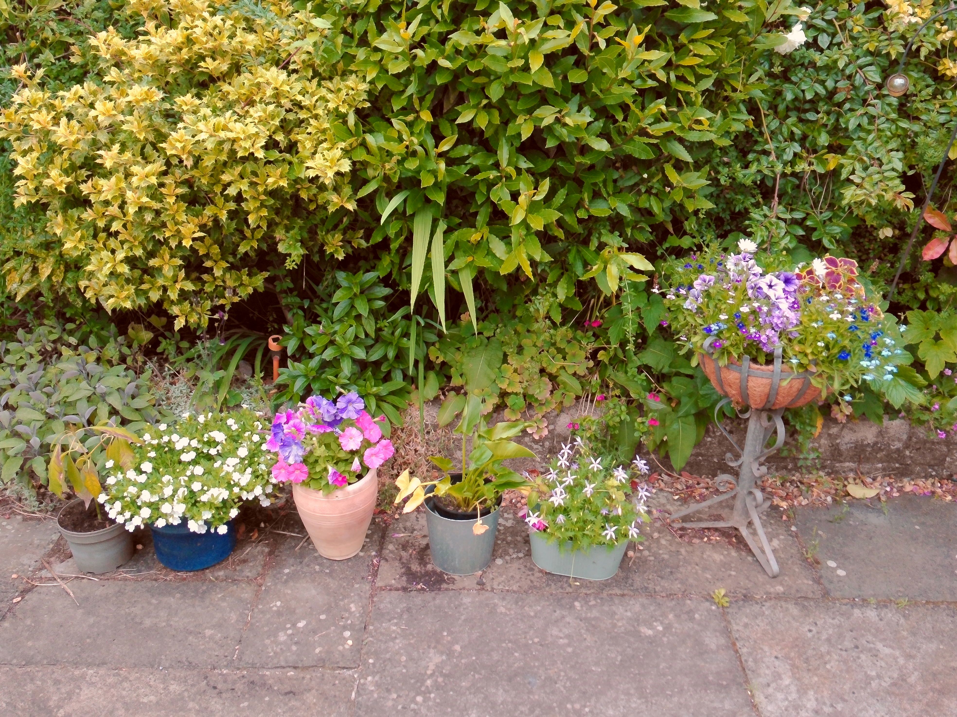 Yashica FX-D 300 example shot - film simulations