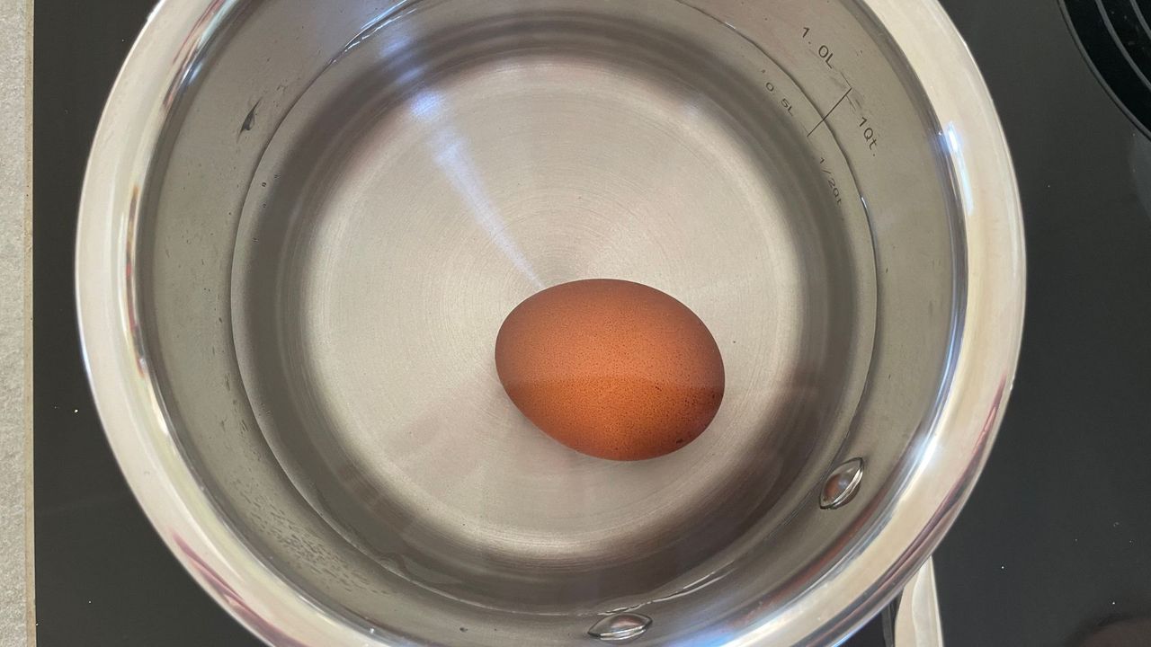 Le Creuset Stainless Steel Pan being tested in the kitchen