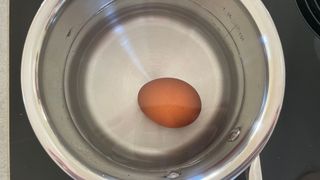 Zwilling Stainless Steel Pan being tested in the kitchen