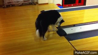 wHt07G on Make A Gif, Animated Gifs