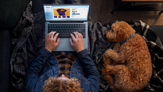 Dell 14S laptop being used by a person sat on a sofa on their lap, top-down view, a dog is curled up asleep next to them