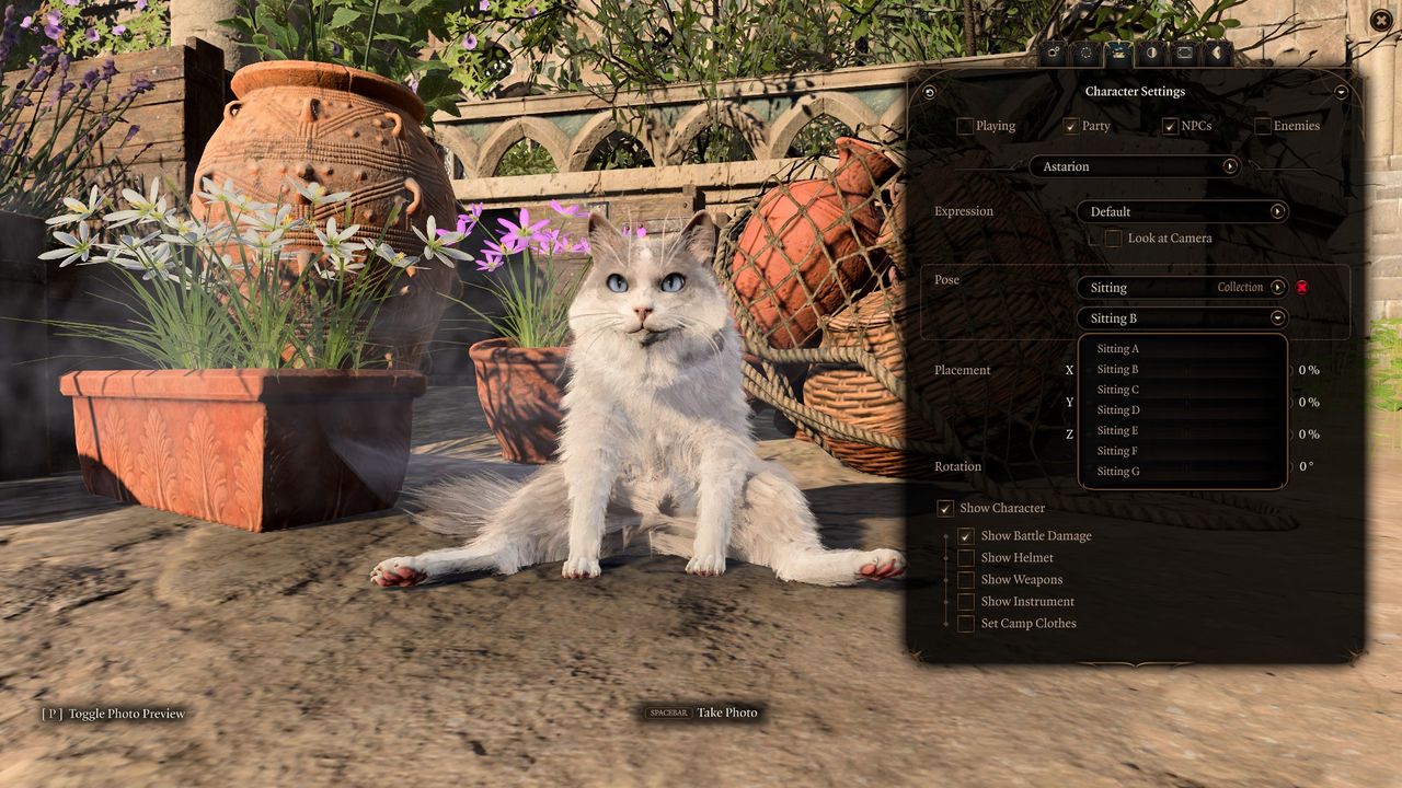 Assorted examples of the photo mode in Baldur's Gate 3, including sitting poses for cute animals, a waving ghoul, and dances.