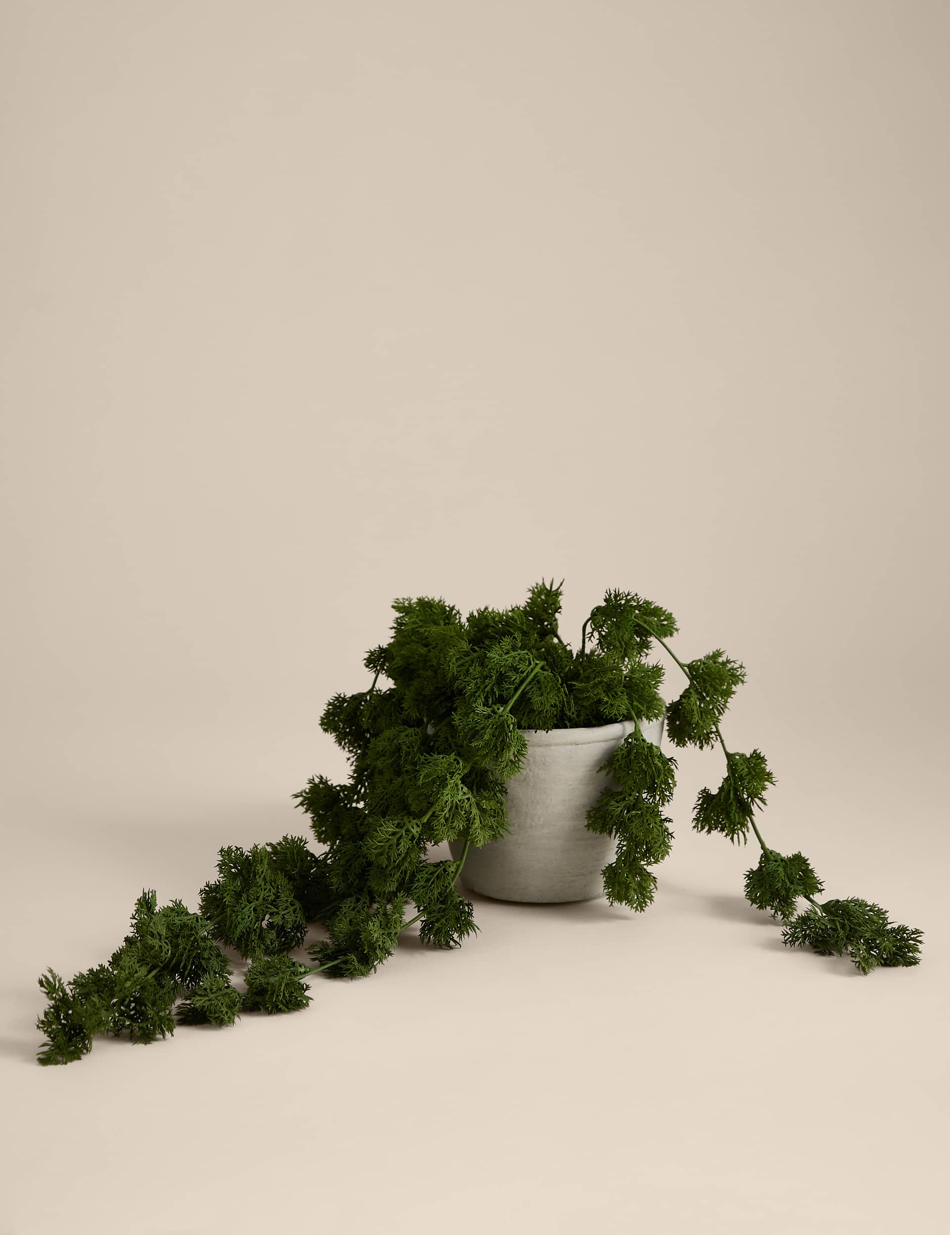 Artificial Trailing Moss in Concrete Pot