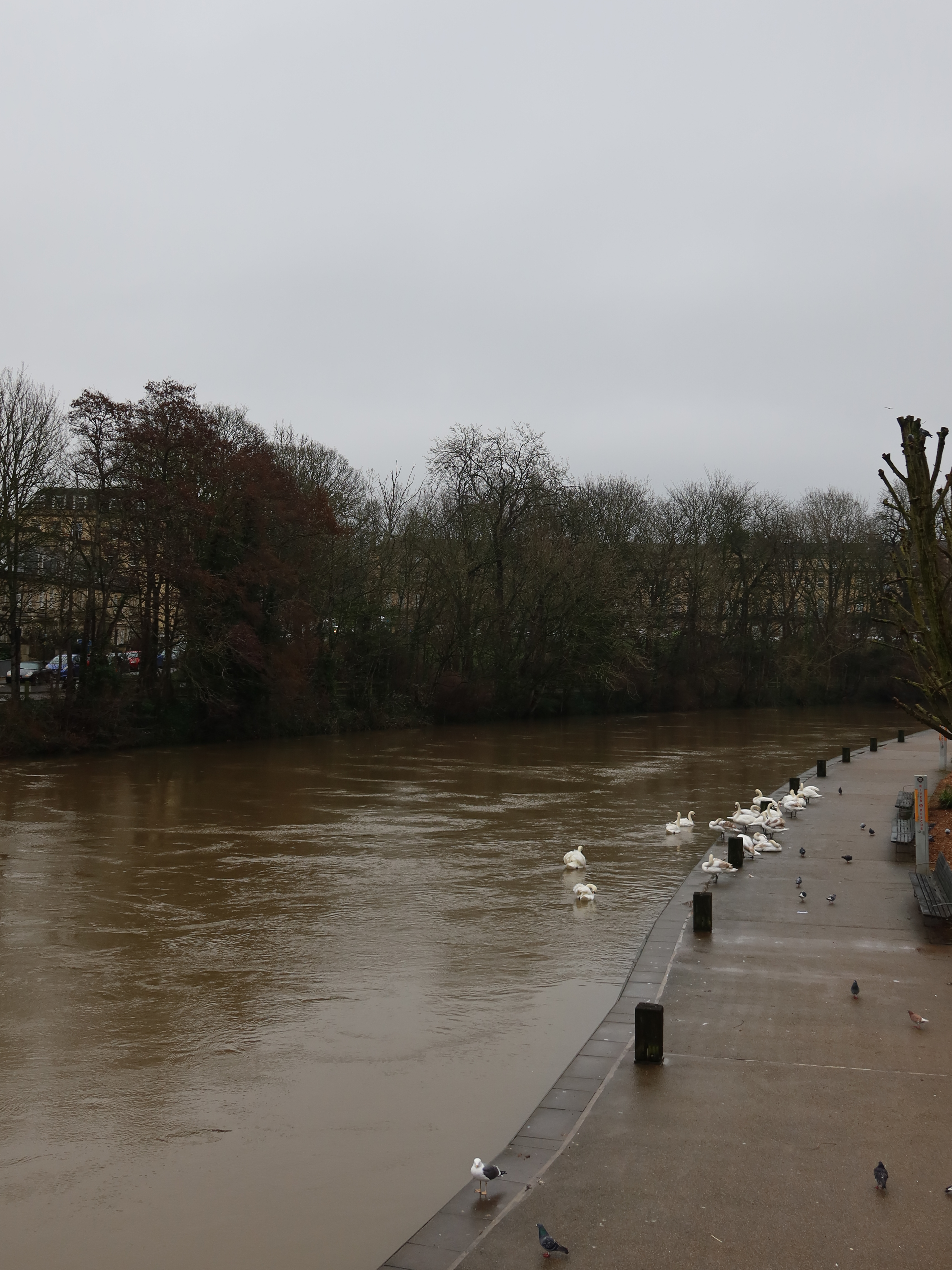 A photo taken on a Canon PowerShot G7 X Mark III compact camera