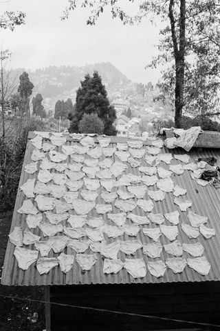 Dozens of Y-fronts laid out on a roof