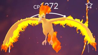 Moltres in Pokemon Go