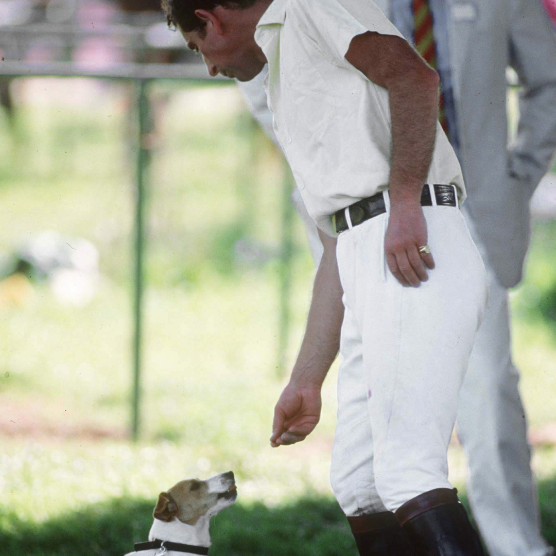 King Charles feeding his dog, Tigger at a polo match