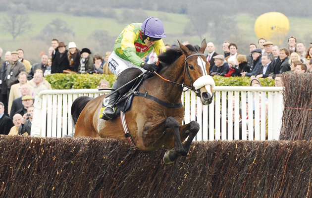 Kauto-Star-CheltenhamGC-2009.jpg
