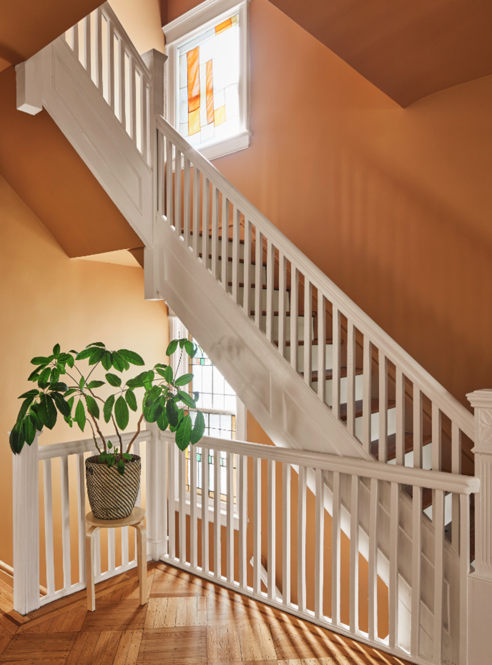 staircase painted in a warm topaz, white balustrades, potted plant on stool, and windows with light streaming through