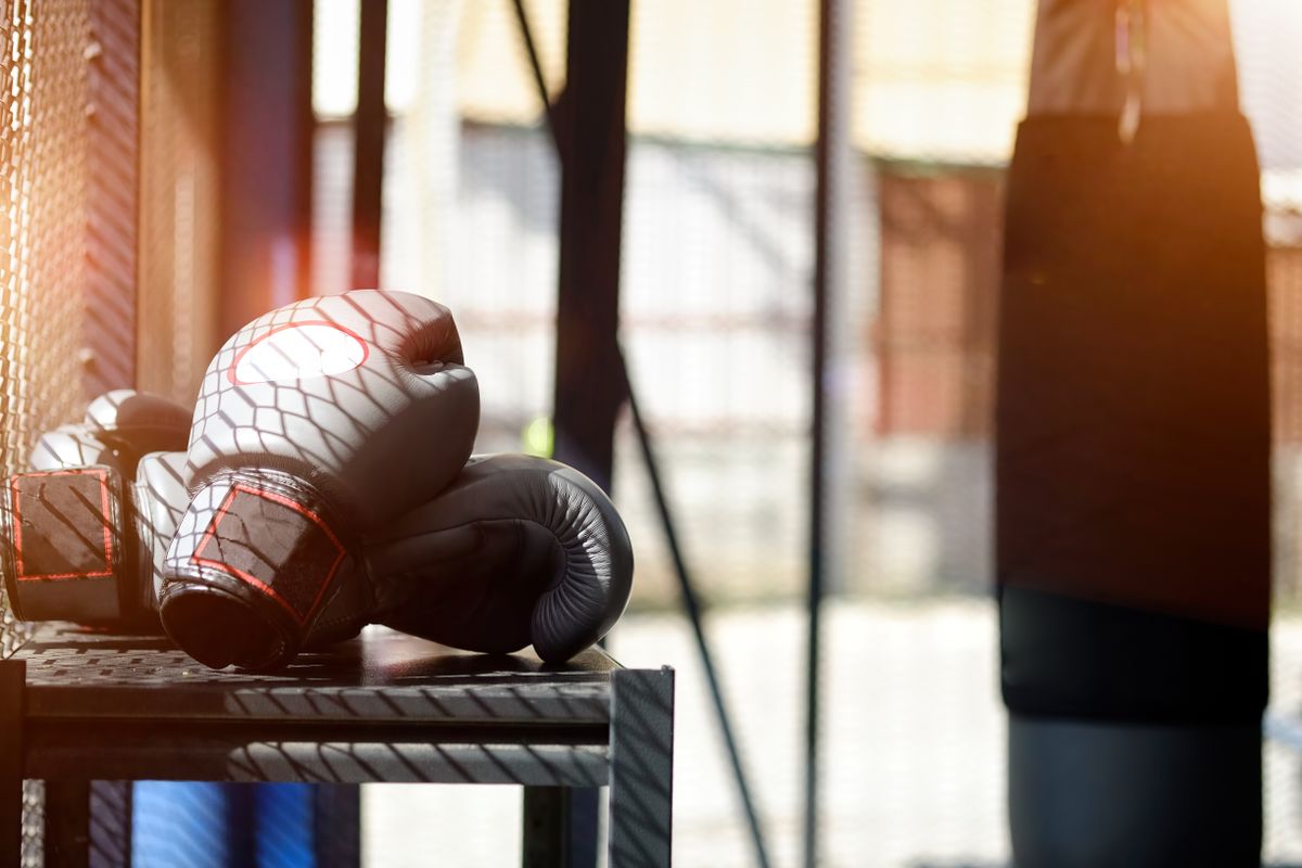 The best punch bags Real Homes