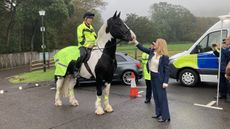 Sussex1.jpeg