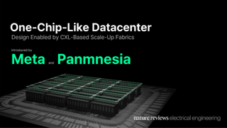 Meta and Panmnesia chip