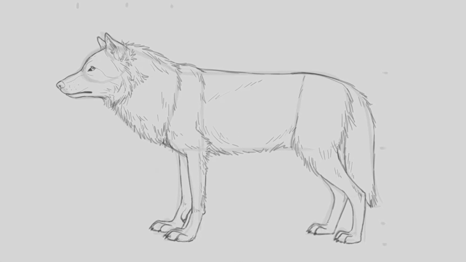 Pencil sketch of a wolf