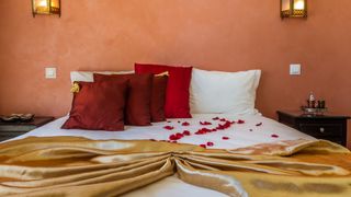 Deluxe doube room of hotel in Moroccan style, romantic scene with rose petals.