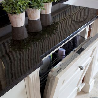 black worktop with dishwasher and potted plants