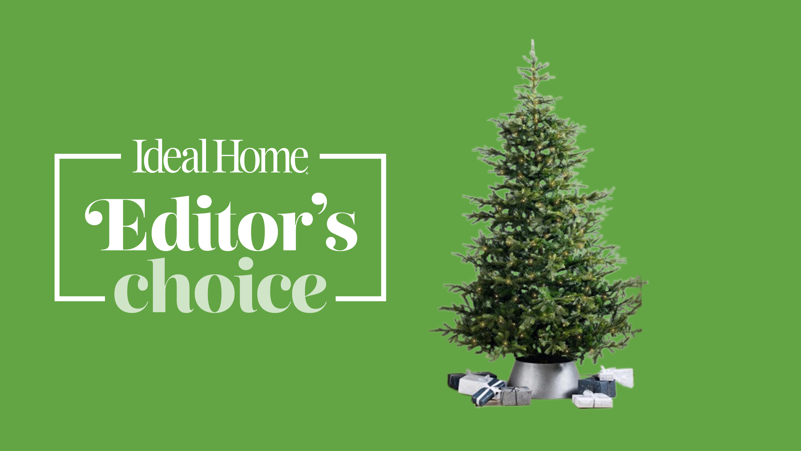 White Company Christmas tree on green background