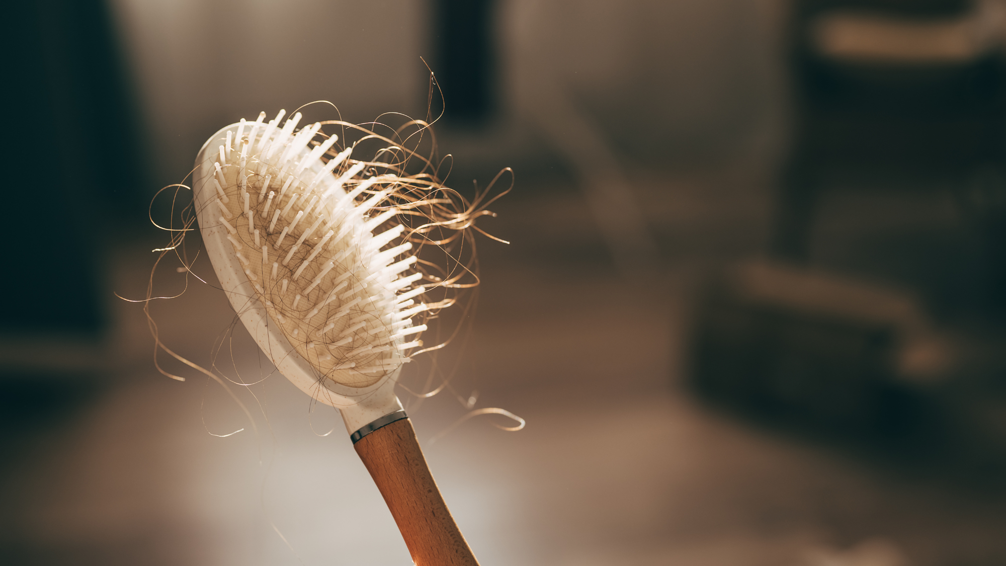 hair brush holding hair - ozempic hair loss