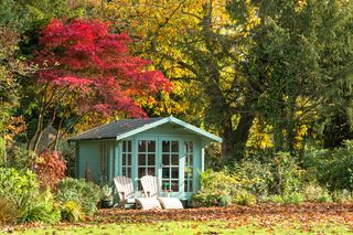 Summerhouse and garden seating under the shade of a Japanese maple tree