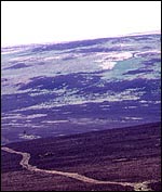 54351260-4AD8-40A7-962D-E5B7431B0F5B.jpg
