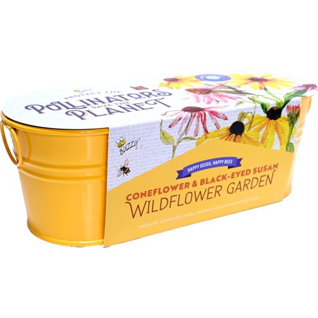 Wildflower Garden Pollinator Windowsill Grow Kit | Purple Coneflower &amp;amp; Black-Eyed Susan