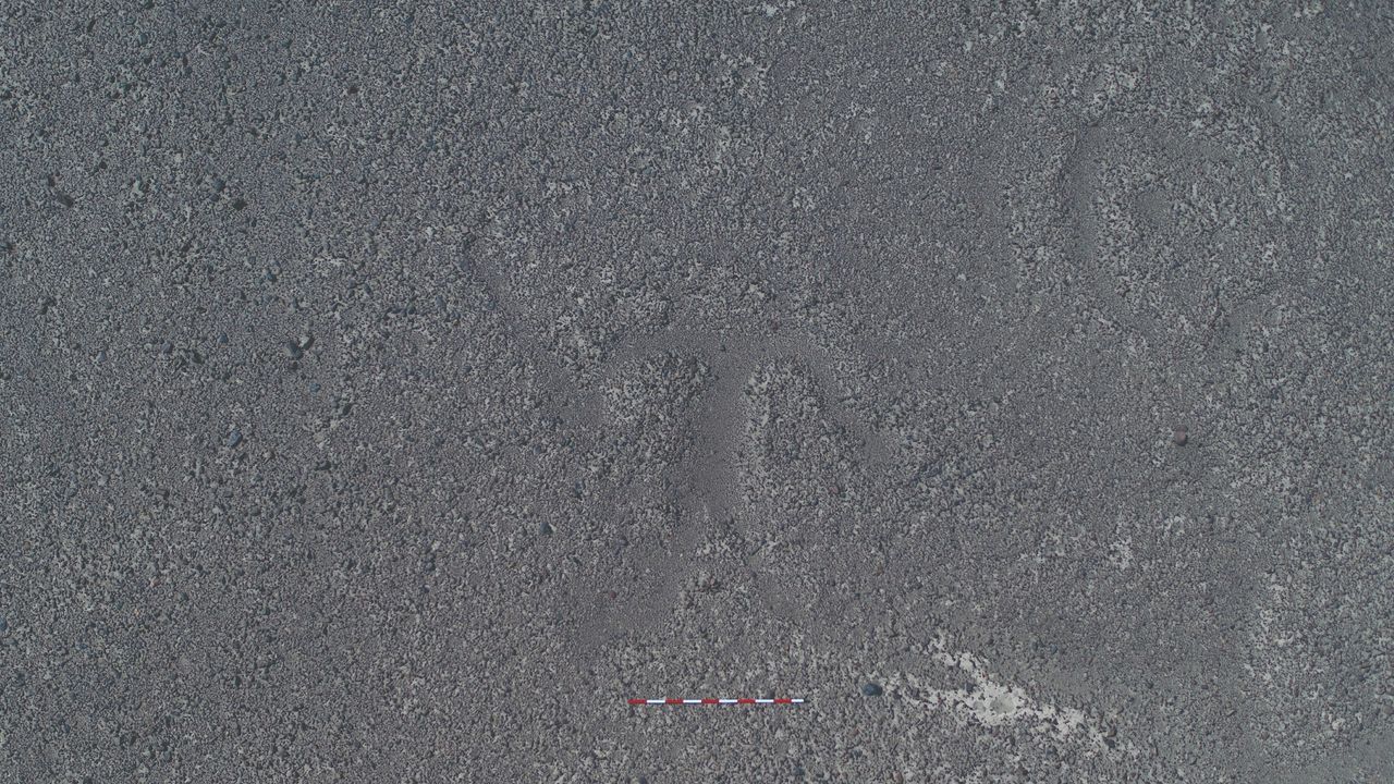 A geoglyph of what may be a person holding what looks like a club or stick as their head flies away.