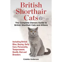 British Shorthair Cats | Amazon