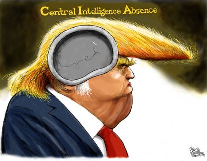 Political cartoon U.S. Donald Trump central intelligence no brain