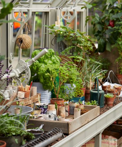 Planning a greenhouse: 10 ways to make the best use of space | Homes ...