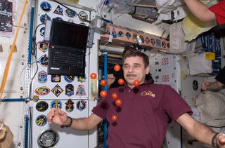 Russian cosmonaut Mikhail Kornienko, Expedition 23 flight engineer, is pictured near fresh tomatoes floating freely in the Unity node of the International Space Station in May 2010.