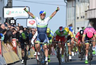 Michael Matthews wins stage three of the 2015 Paris-Nice. Photo: Graham Watson