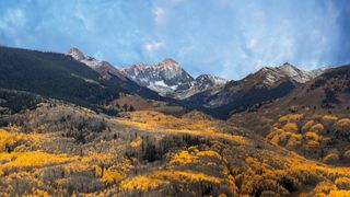 The aspen trees turn golden in the autumn on Capitol Peak in Aspen