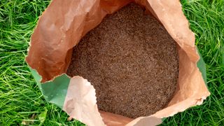 Lawn seed in brown bag