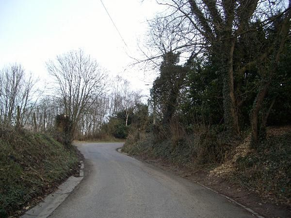 The Kortekeer snakes up through the woods
