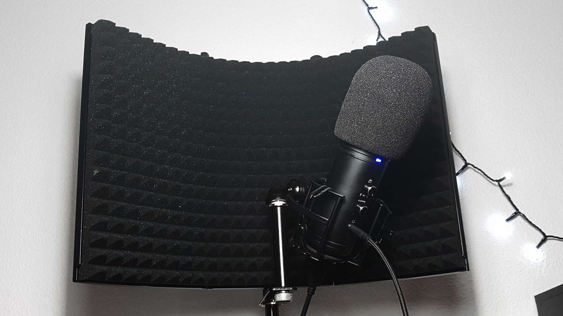 The Trust Rudox GXT 259 Microphone with reflector shield