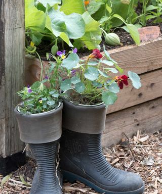 boots with edible flowers growing inside