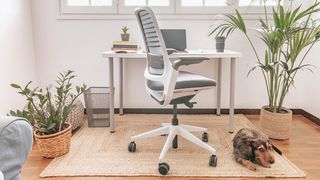 A dog sits next to one of the best office chair for back pain, in a well-lit office. 