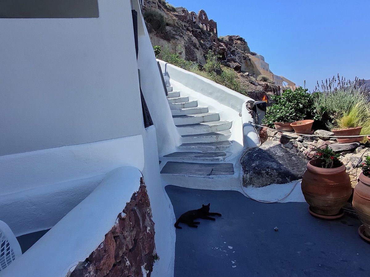 Test shots taken on the L'Atitude 52 smart glasses showing a cat in the shade in Santorini