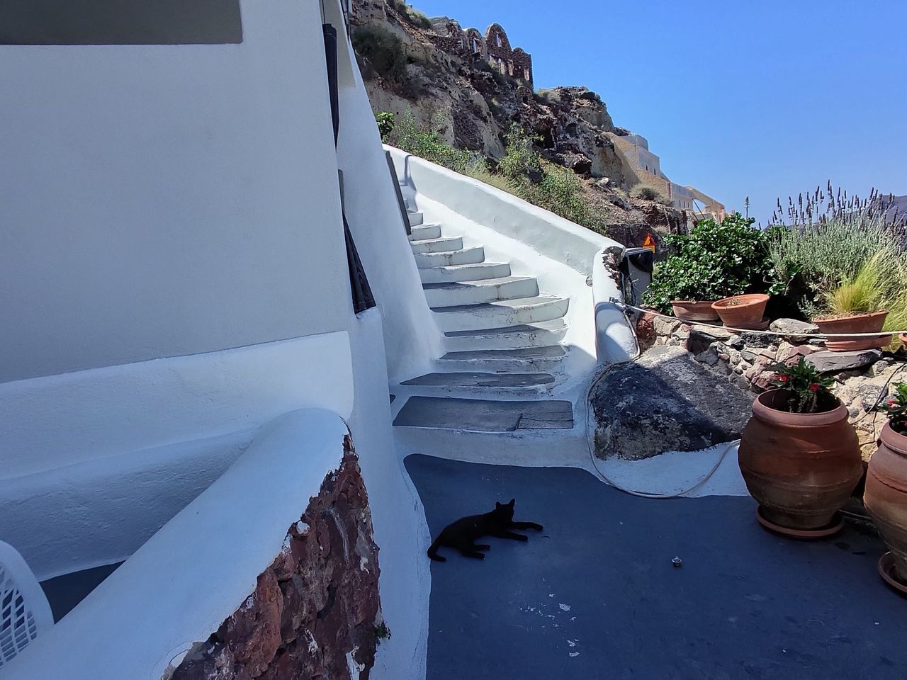 Test shots taken on the L'Atitude 52 smart glasses showing a cat in the shade in Santorini