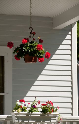 A white weatherboard porch with red geraniums in a hanging basket