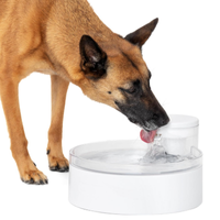 PetSafe Outlast Pumpless Dog Water Fountain | Amazon
