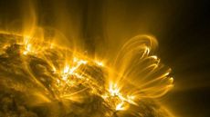 A photograph of large loops of plasma towering over the sun