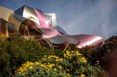 Hotel-Marques-de-Riscal-by-Quim-Roser-2.jpg