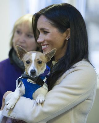 Meghan Markle adopt rescue pet archie