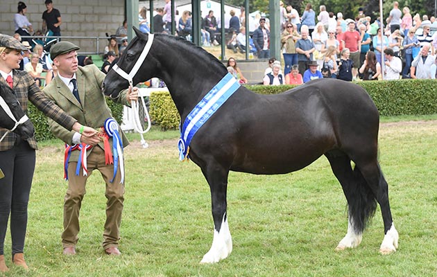 Great Yorkshire Show 12 07 2018