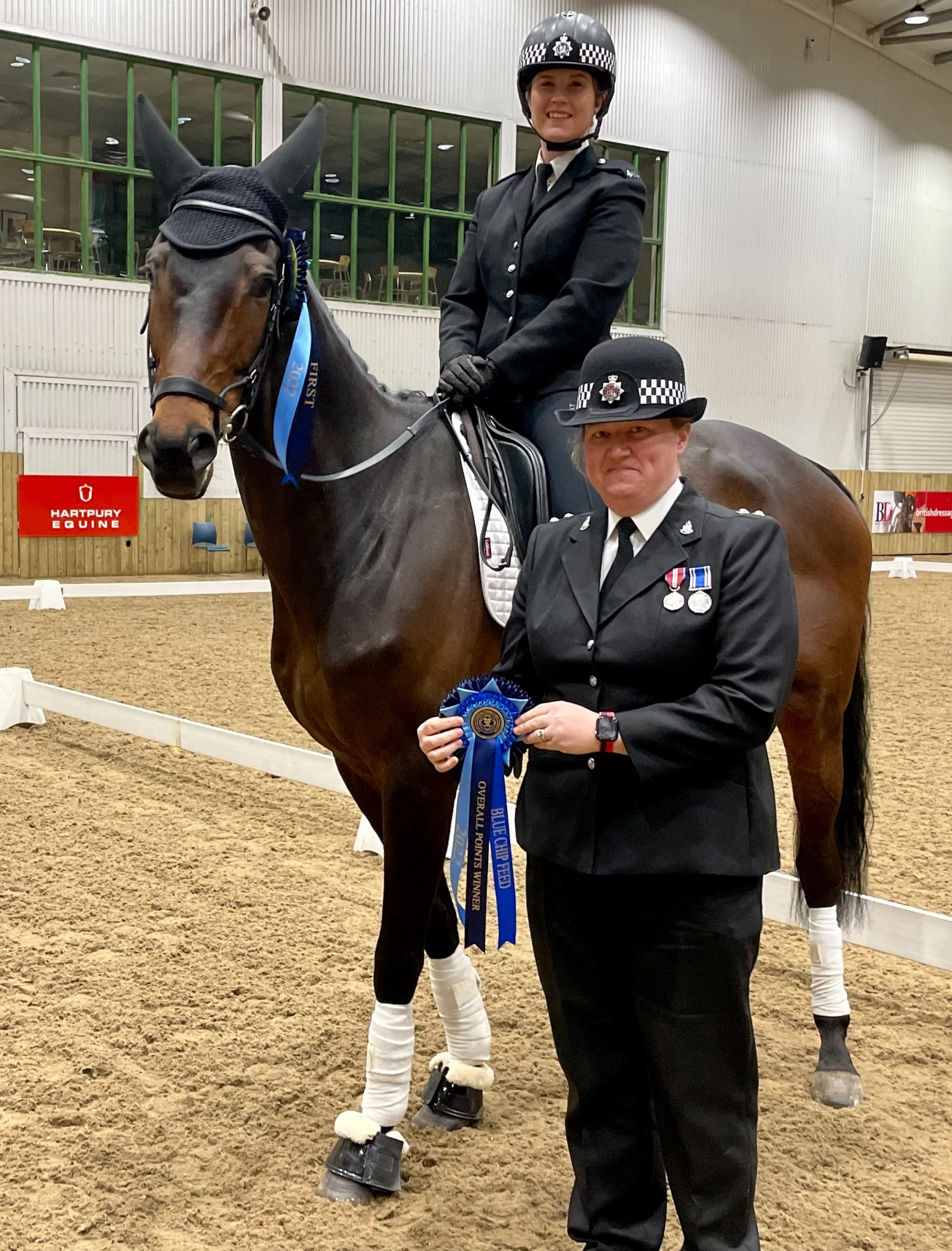 Dressage-league-winner-scaled.jpeg