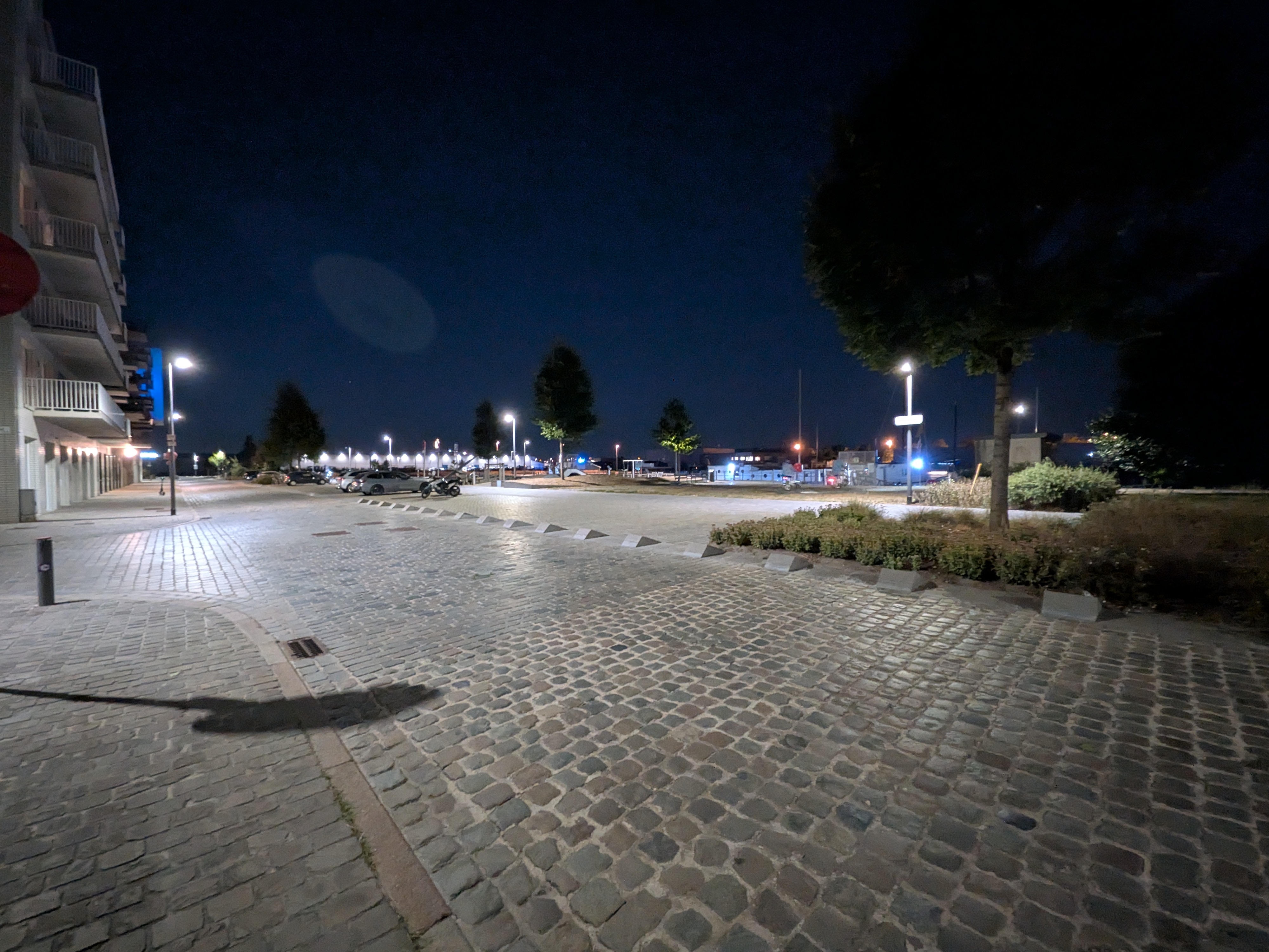 Google Pixel 10 voorbeeldfoto